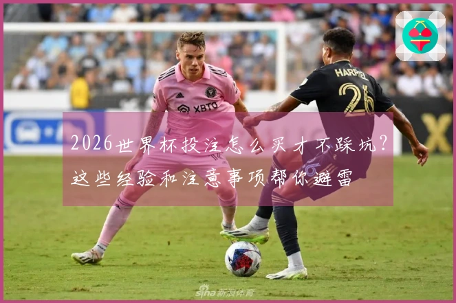 2026世界杯投注怎么买才不踩坑？这些经验和注意事项帮你避雷