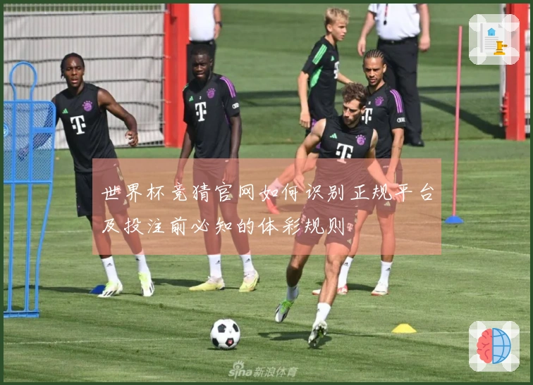 世界杯竞猜官网如何识别正规平台及投注前必知的体彩规则