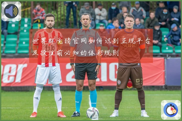 世界杯竞猜官网如何识别正规平台及投注前必知的体彩规则