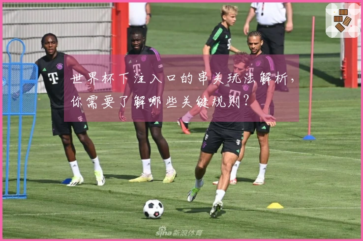 世界杯下注入口的串关玩法解析，你需要了解哪些关键规则？